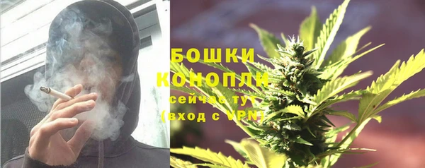 PSILOCYBIN Лабытнанги